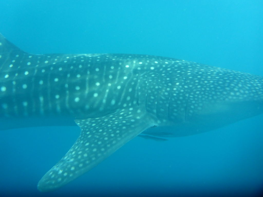 8594265b-c5d5-48d3-8edb-79279cc9431b