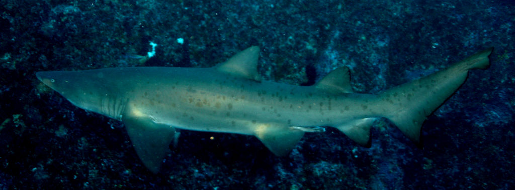 a0ce645e-546e-4fbf-97d5-498ccb4d451e