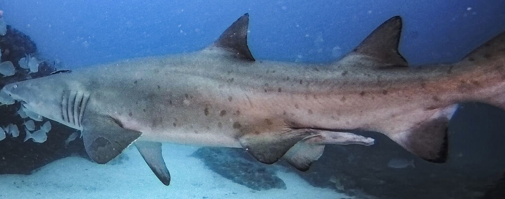 2dd01560-adc1-484c-bb6d-ac0c6d096335