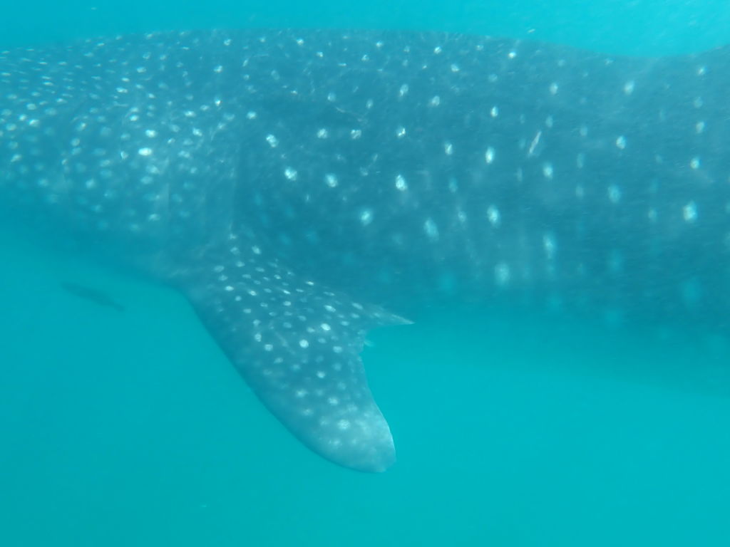 7a425f22-7cdf-47d5-91bf-4b80d9b22fe0