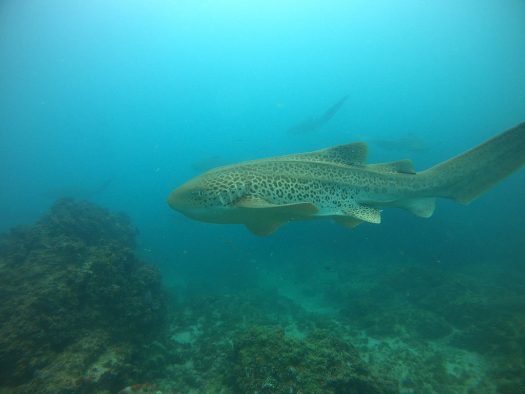 069b2789-a8e8-42c1-b03d-fe9c958cfcd5