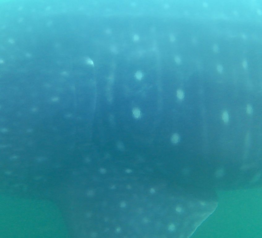 870e7717-fff2-4fe0-ae06-355d0ba1edab