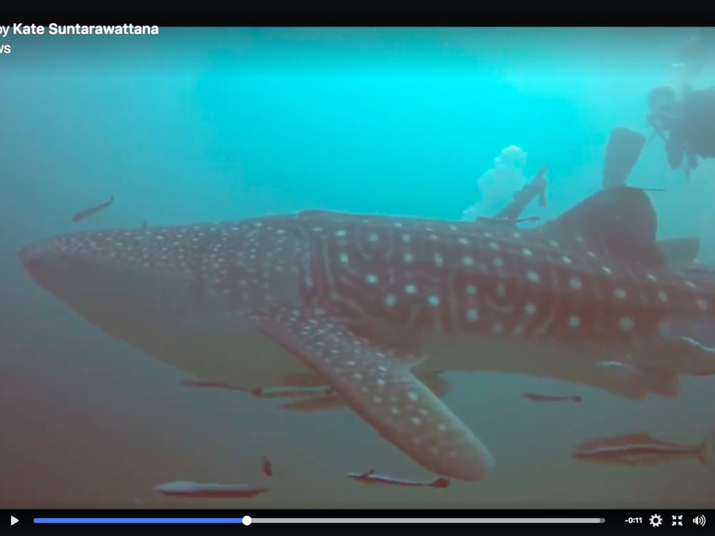 8e7bd973-26db-4afc-9ed8-49325843bd8c