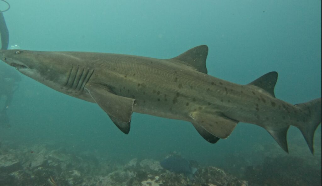 b747b3ea-ee8d-478f-b0d4-effeebab0f85