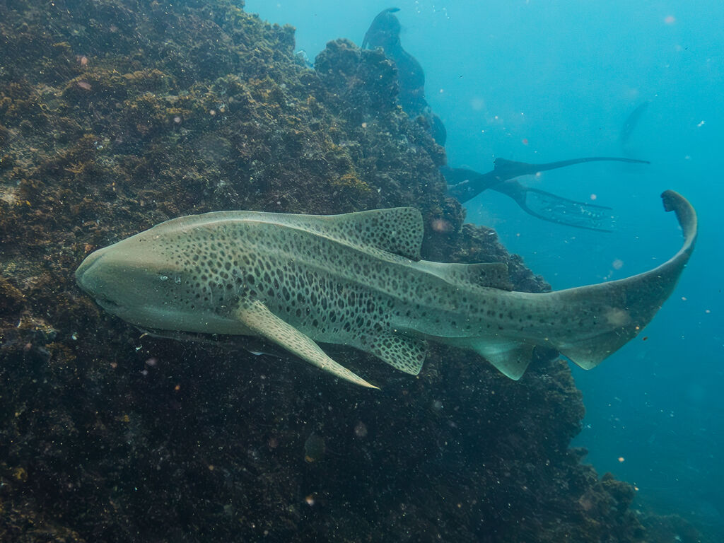 25ef7f97-55b6-4746-817e-0def0c0737d9