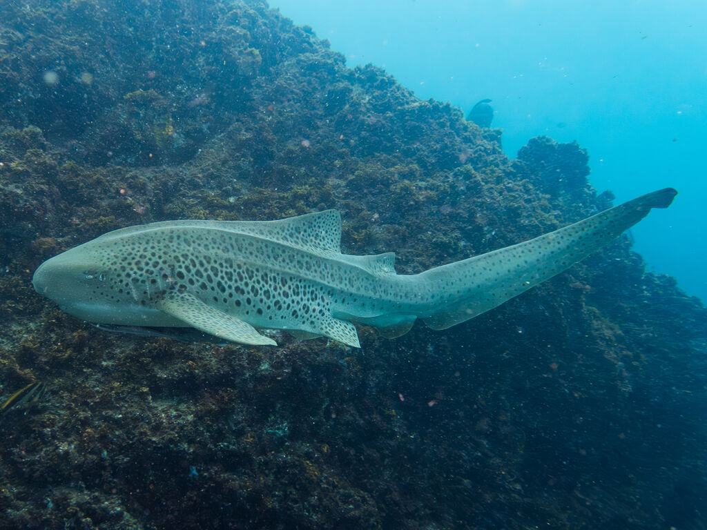 25ef7f97-55b6-4746-817e-0def0c0737d9