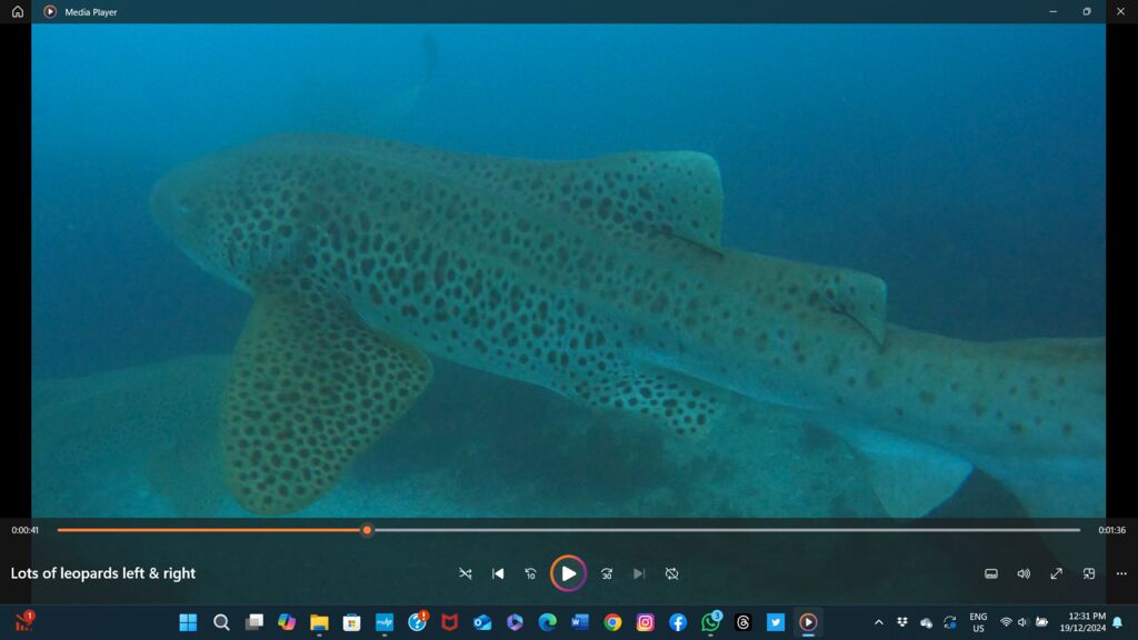 6f92311b-c7e4-4b68-8a95-267d1047ee30