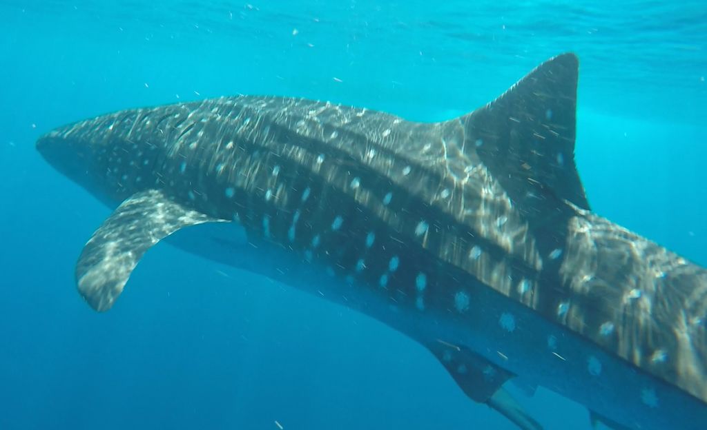 a2e3a6d3-0194-4a8e-a943-27cfb6ba3718