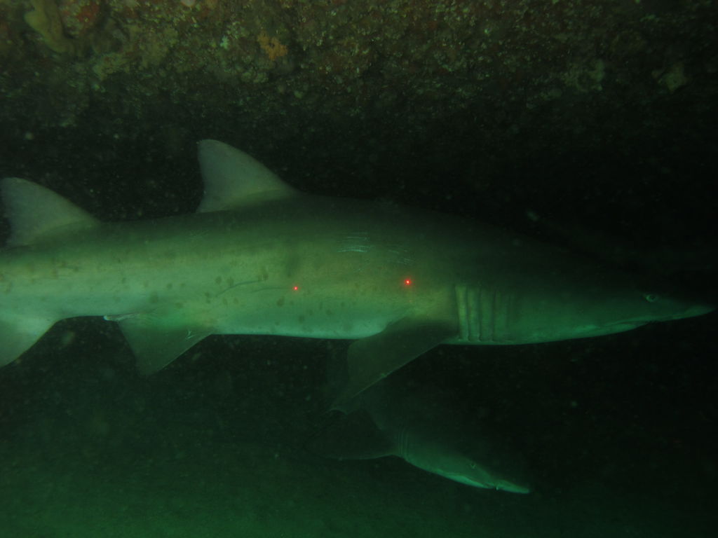 c3987c2b-a1d6-4735-9b1f-5d36d600eb6f