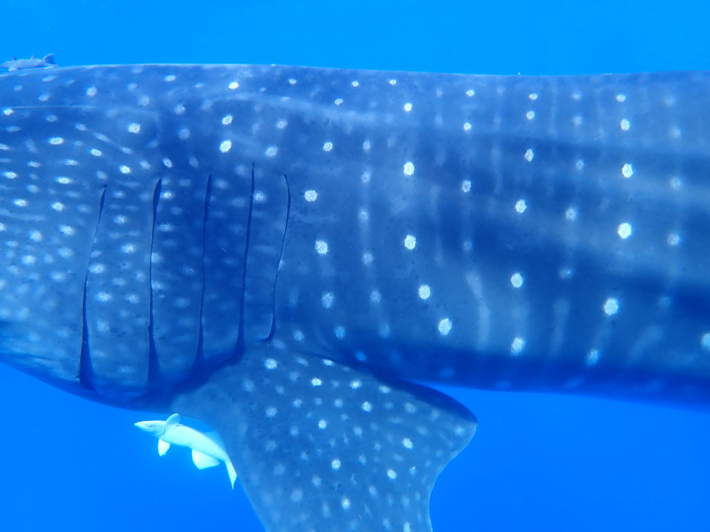 a7f978b8-180b-4233-b825-979de880cd26