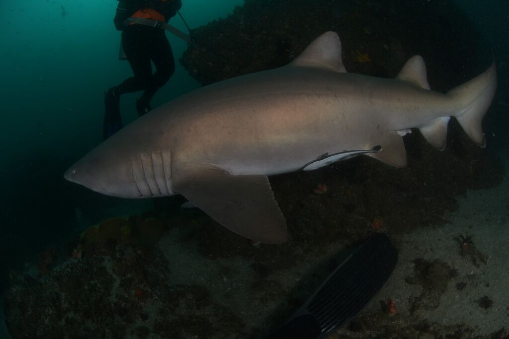 c10cd5c6-9207-4b97-8ab1-460146d39f26