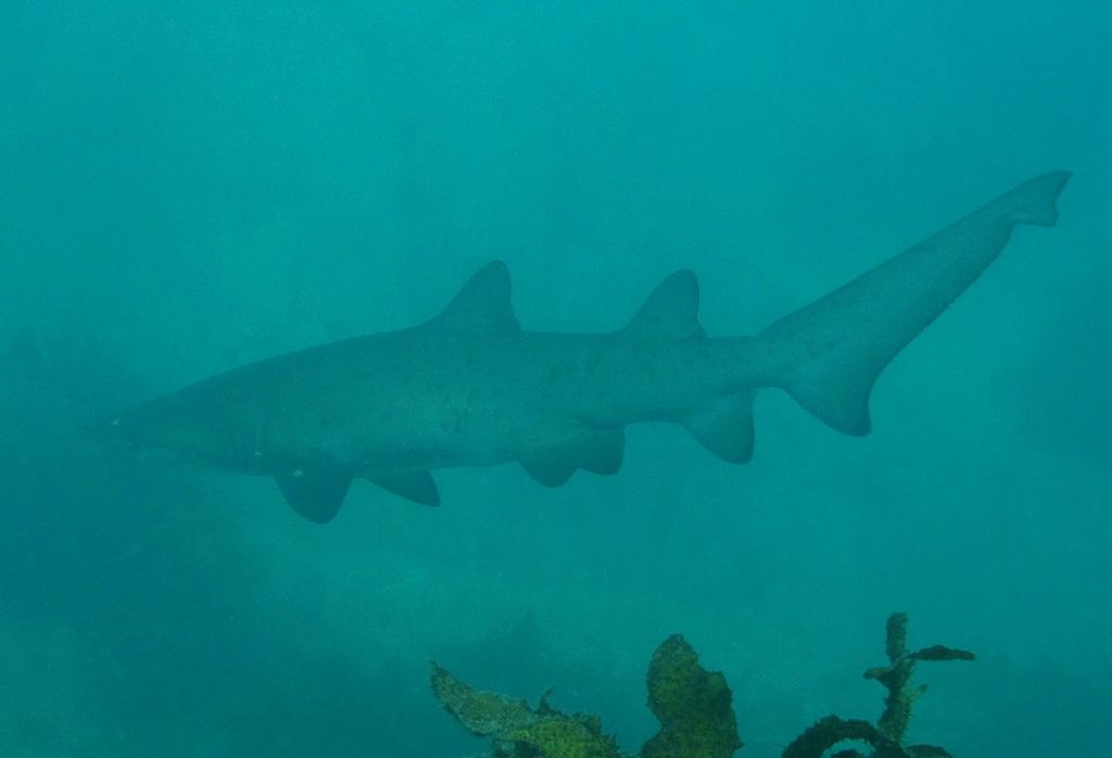 7fe6cf54-2b1b-4f0d-bde9-7d6e89b9d659