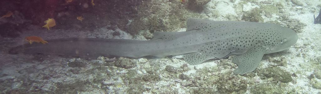 1e2540fe-8b89-407c-8d34-b9b0ceb38e6e