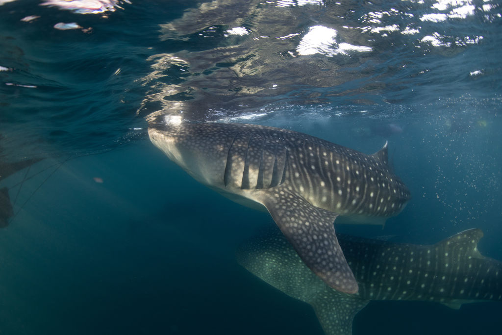 df69cb45-9ad8-480f-a5ec-23fe98f92b62