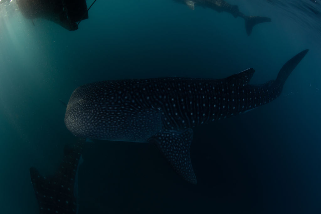 df69cb45-9ad8-480f-a5ec-23fe98f92b62