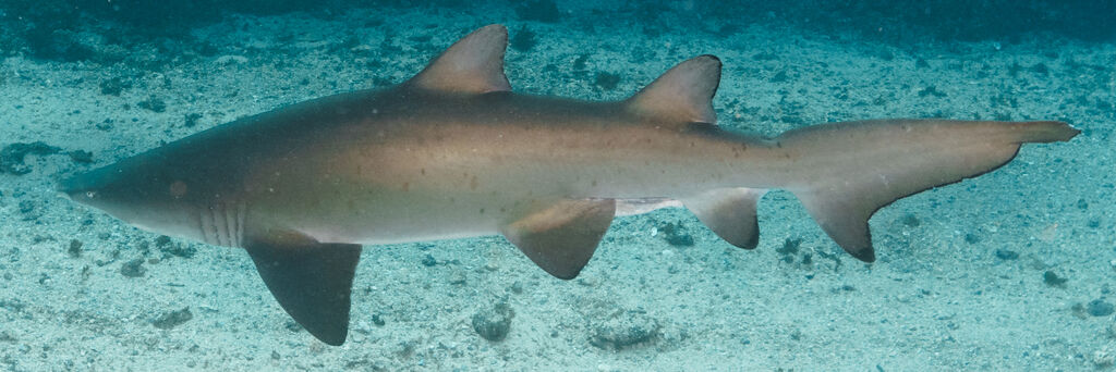 f36d3dea-86c0-4aa6-9f84-6ef9bbf5634f