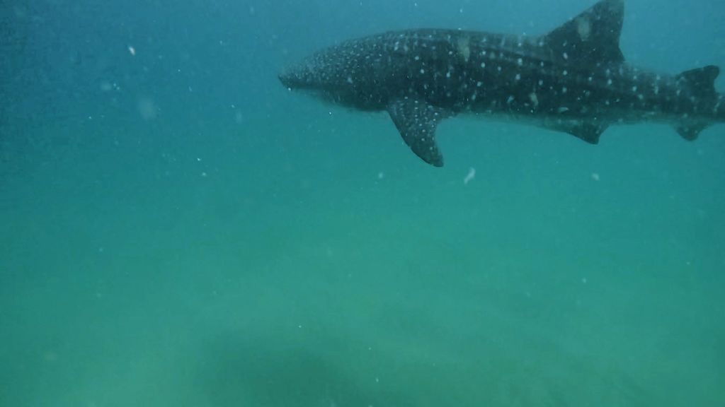 a4fc8651-b032-49d0-9fa3-264eaad98992