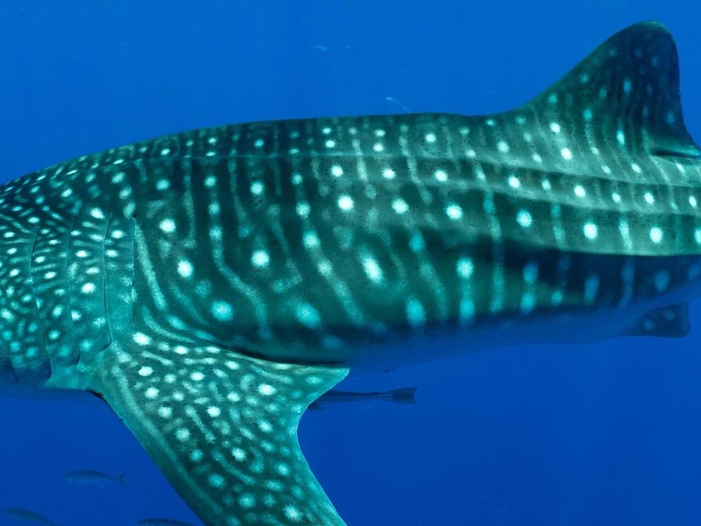 57854f65-c695-480d-8bfc-091e6343c0c3