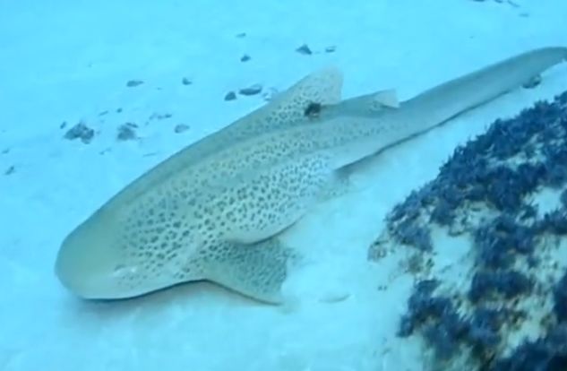 b441ad66-3203-426f-b68b-9274a50ffbc5