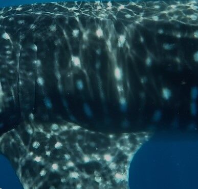 7808545e-c5f7-48a7-aa52-01d928923c61