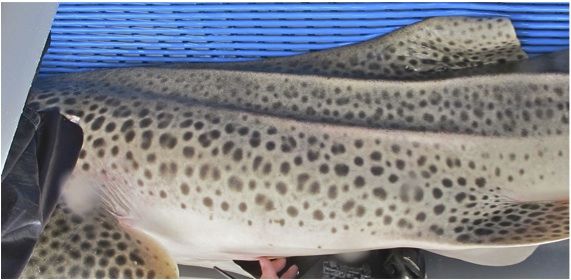 11ac9c92-9de2-450e-ae41-5c5e0ba7c702