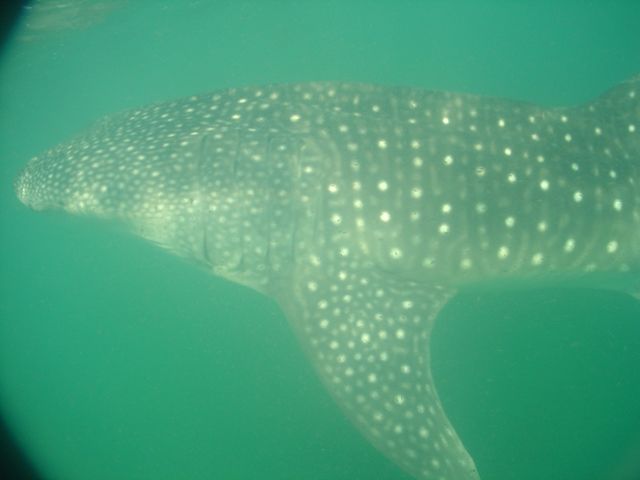 30e110ce-7d68-4827-aad3-fd5b77c3dff4