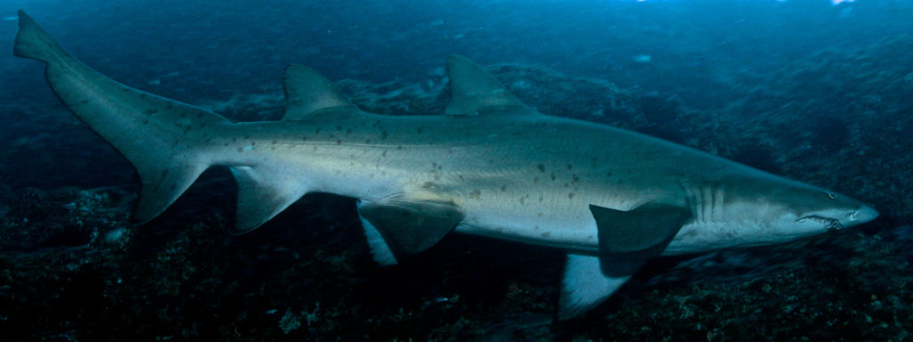 421c033d-7f9c-4464-b30f-24bd3a84d5f9