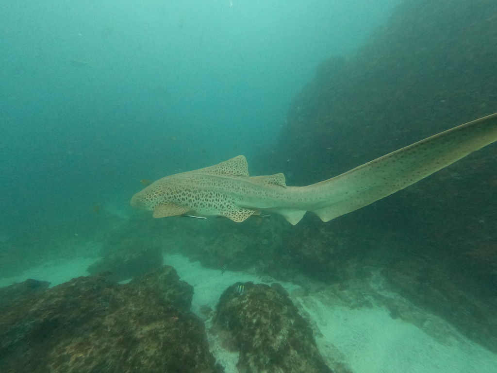 023d070a-8b35-40ca-9227-96eea01e680b