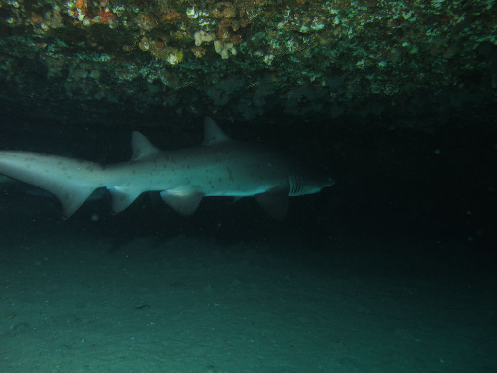 3263f6c0-7f28-42b0-b67e-3db4b4f6d852