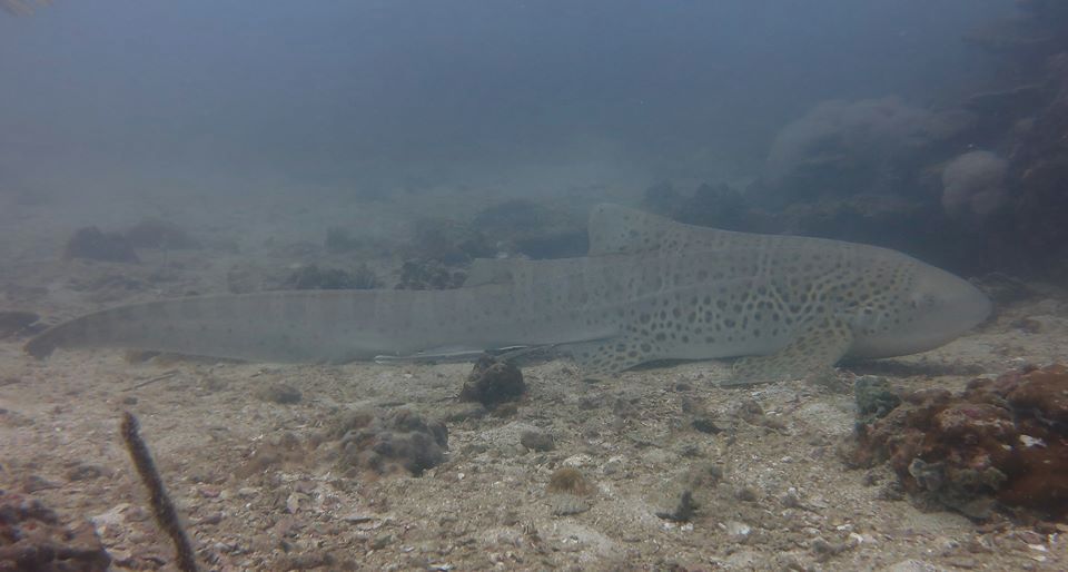 ca68d71b-7a21-4b66-bba8-b015d17513ae