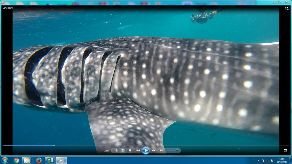 621d270a-8485-43e5-ad34-8c845ff195e3