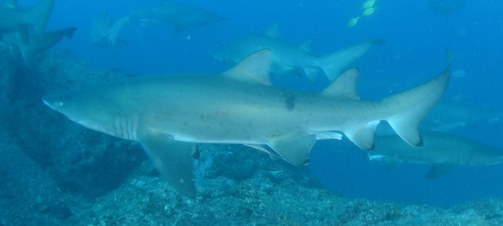 8b0e9898-2659-4309-a499-47382dae1335