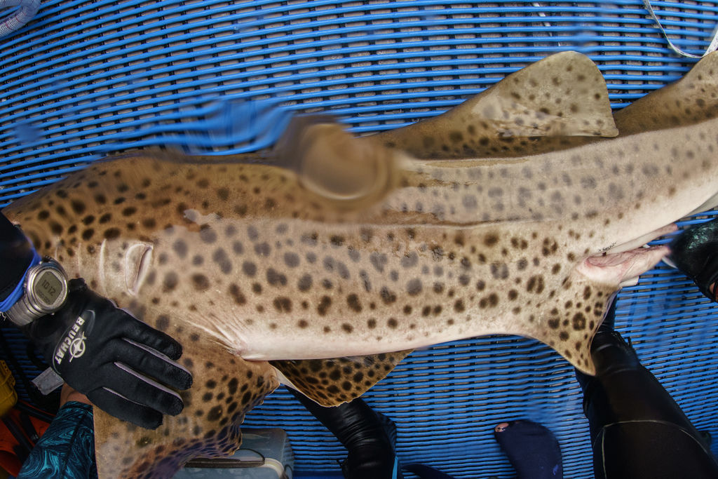 5ec13814-e3dc-47d4-8a99-aceb4cf55321