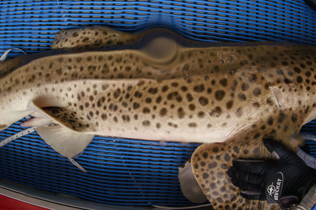 5ec13814-e3dc-47d4-8a99-aceb4cf55321