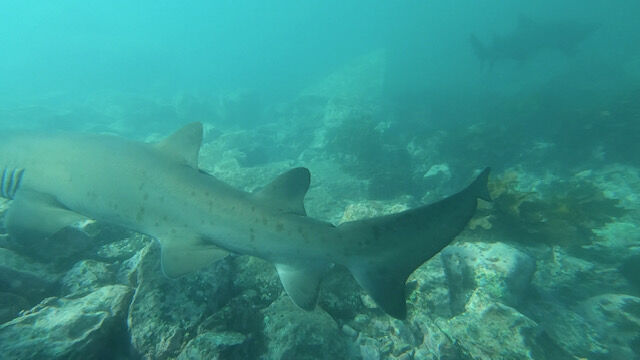 b747b3ea-ee8d-478f-b0d4-effeebab0f85