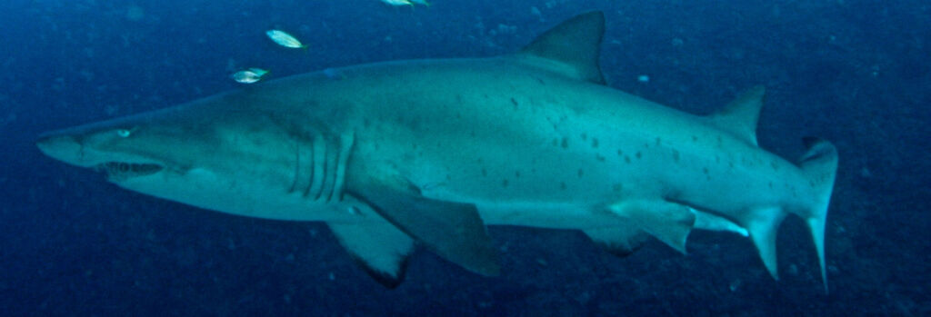 7d0bcadb-81f9-40b7-a133-cd21bc33bda0