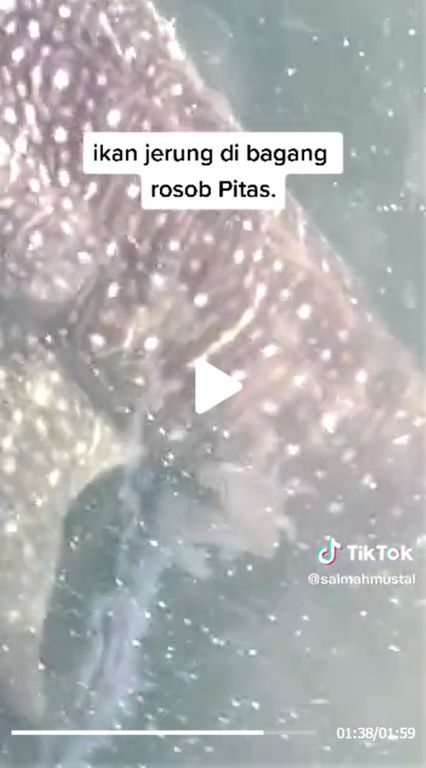 1a52b4dc-1b05-4491-81a6-61ffc12569a0