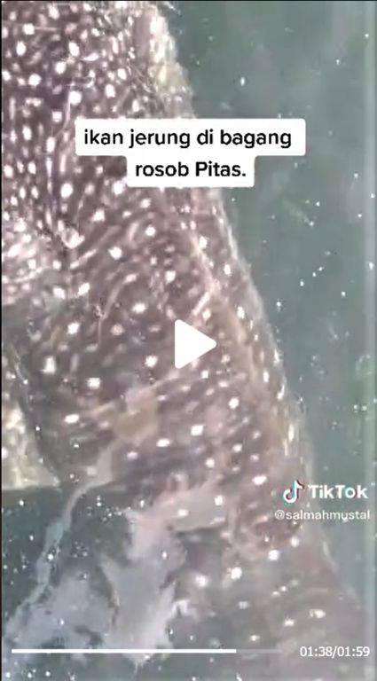 1a52b4dc-1b05-4491-81a6-61ffc12569a0