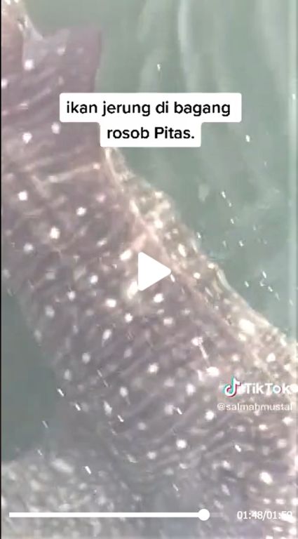 1a52b4dc-1b05-4491-81a6-61ffc12569a0