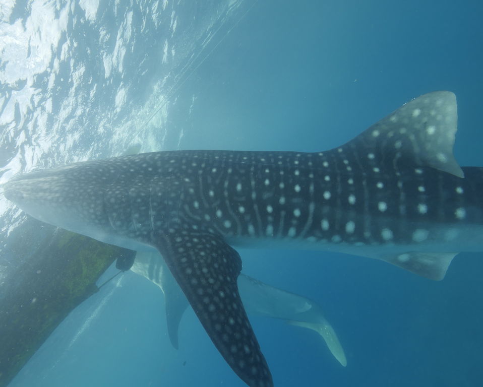 bce95e7b-6bfe-4dc3-a188-37643f225492