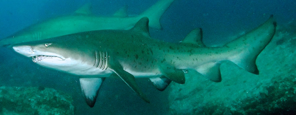 b96d567b-a404-47b5-8186-9cd6ef01ca3a