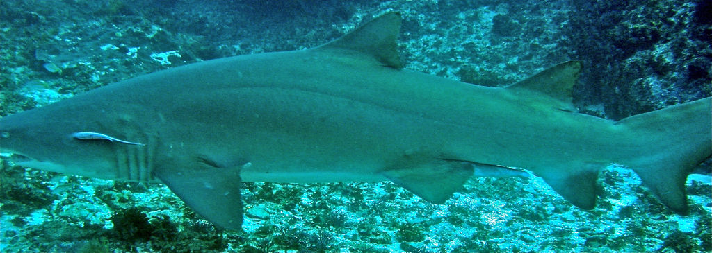 b571e462-965a-462d-92bc-3d04a6395378