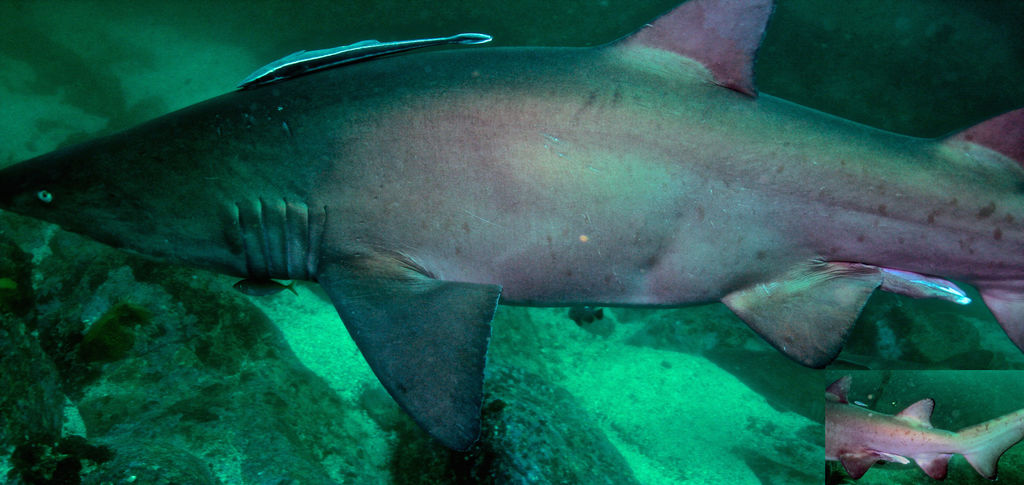 ecf6bcba-098e-4085-b131-d51229936d3e