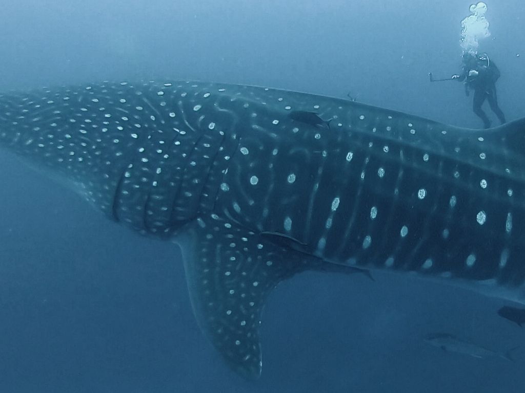 556b5687-008b-421b-8924-05d2b257c729