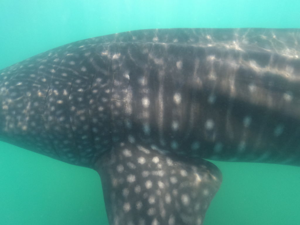 d23ce119-05d6-4049-ad71-0b0dacb737f5