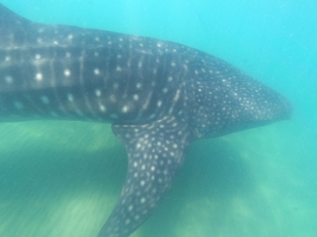 d23ce119-05d6-4049-ad71-0b0dacb737f5