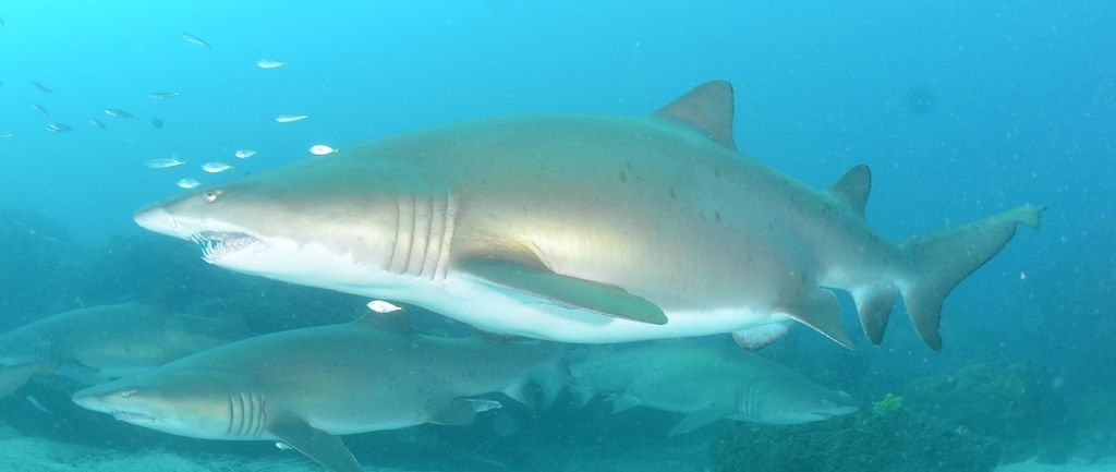 e835ea06-fb1c-4797-998f-10ad31f28679