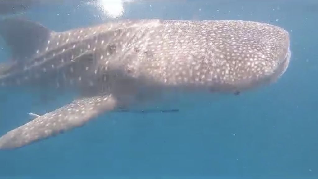 d99b7a59-97e5-4cd2-adca-7713c09672de