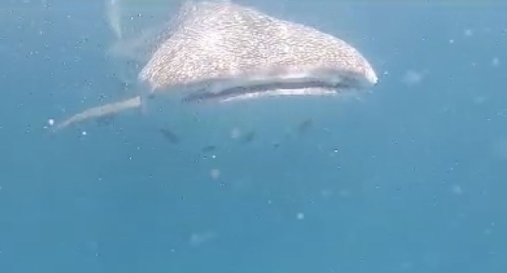 d99b7a59-97e5-4cd2-adca-7713c09672de