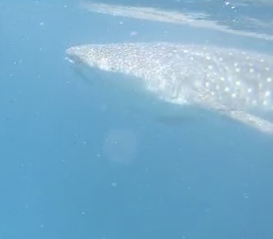 d99b7a59-97e5-4cd2-adca-7713c09672de